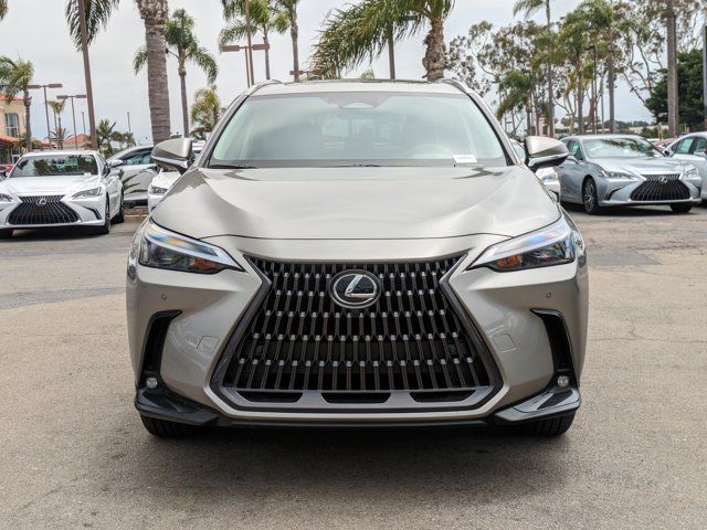 2025 Lexus NX 250 Premium