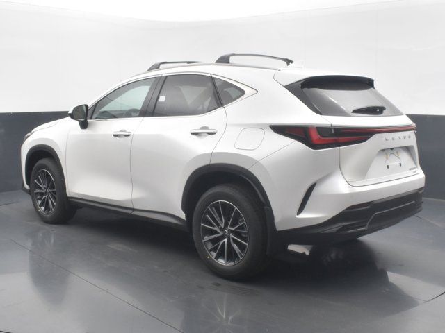 2025 Lexus NX 250 Premium