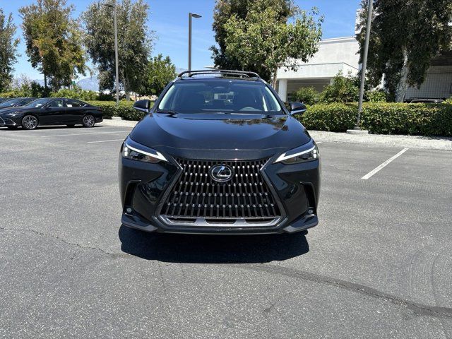 2025 Lexus NX 250 Premium