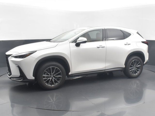 2025 Lexus NX 250 Premium