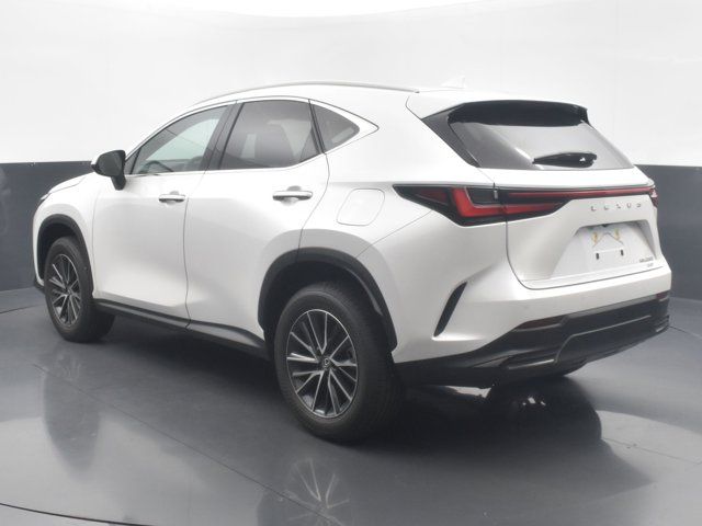 2025 Lexus NX 250 Premium