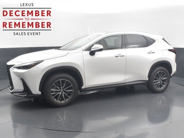 2025 Lexus NX 250 Premium