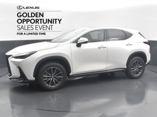 2025 Lexus NX 250 Premium