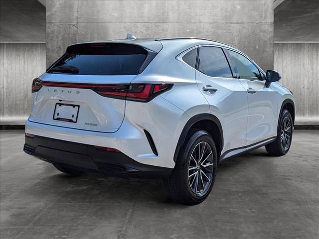 2025 Lexus NX 250 Premium