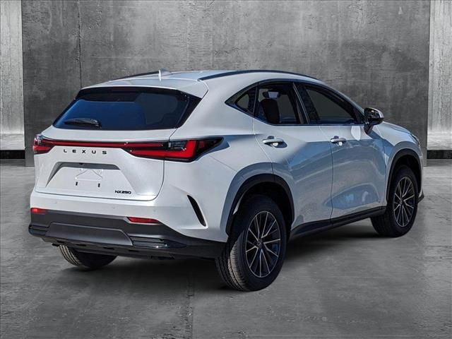 2025 Lexus NX 250 Premium