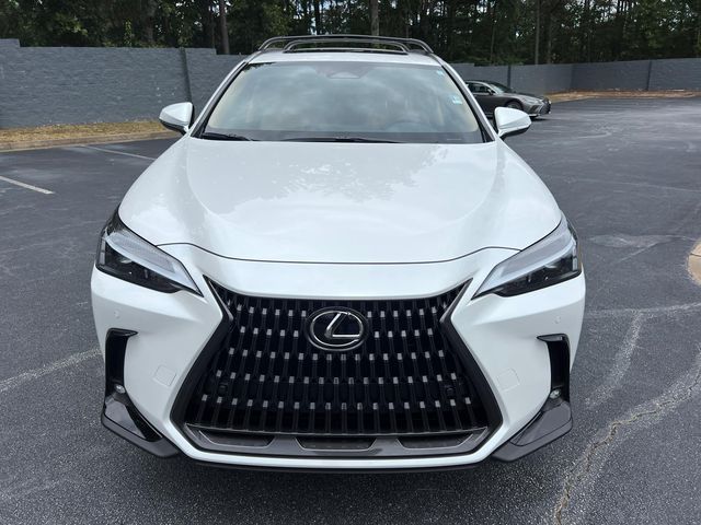 2025 Lexus NX 250 Premium