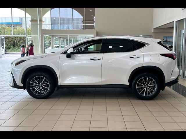 2025 Lexus NX 250 Premium