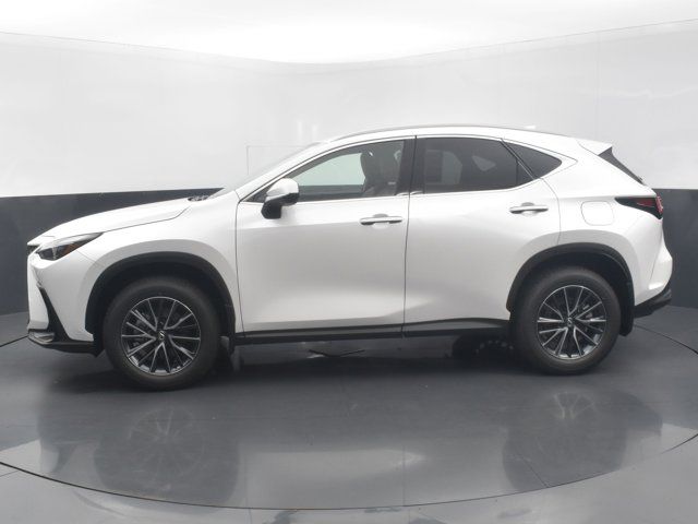 2025 Lexus NX 350