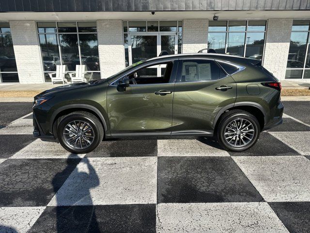 2025 Lexus NX 350