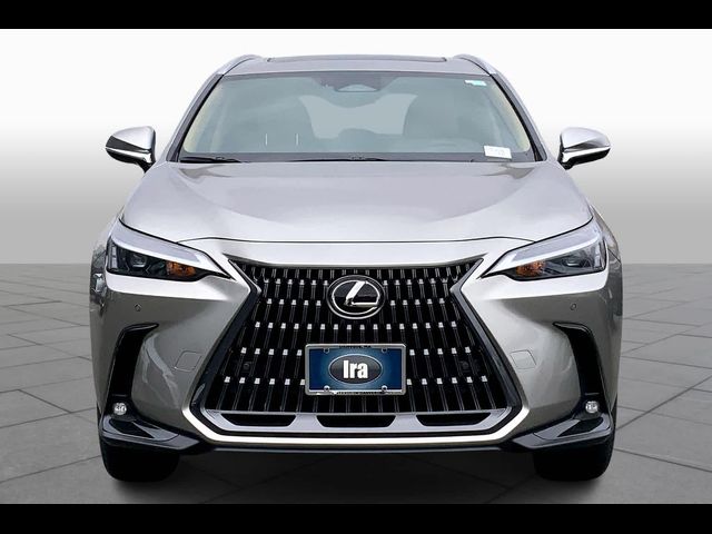 2025 Lexus NX 350