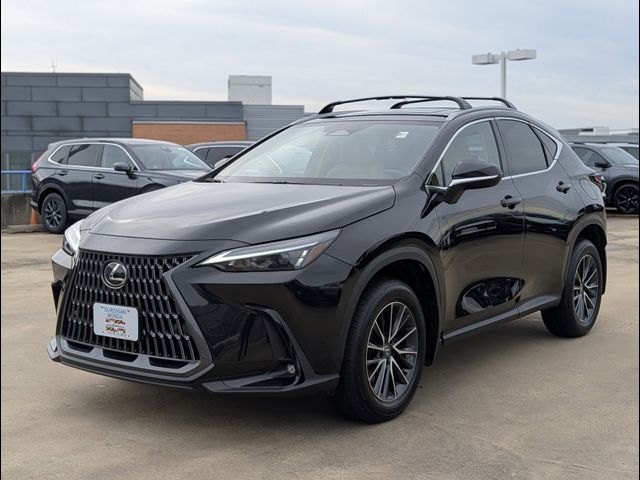 2025 Lexus NX 350