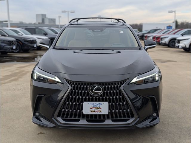 2025 Lexus NX 350