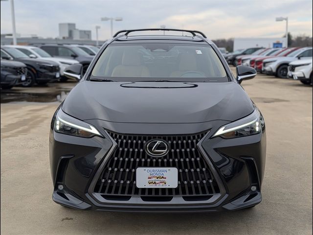2025 Lexus NX 350