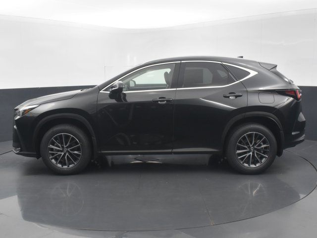 2025 Lexus NX 350