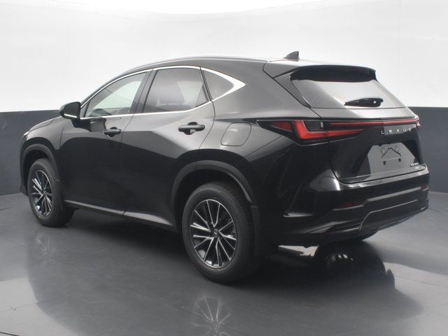 2025 Lexus NX 350