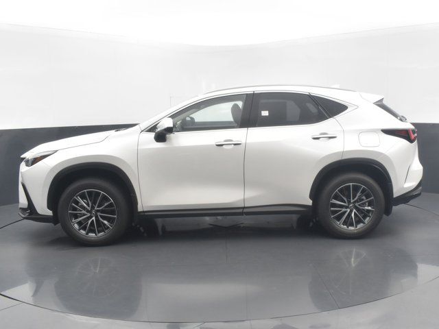 2025 Lexus NX 350