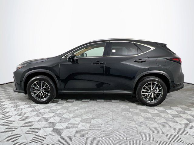 2025 Lexus NX 350