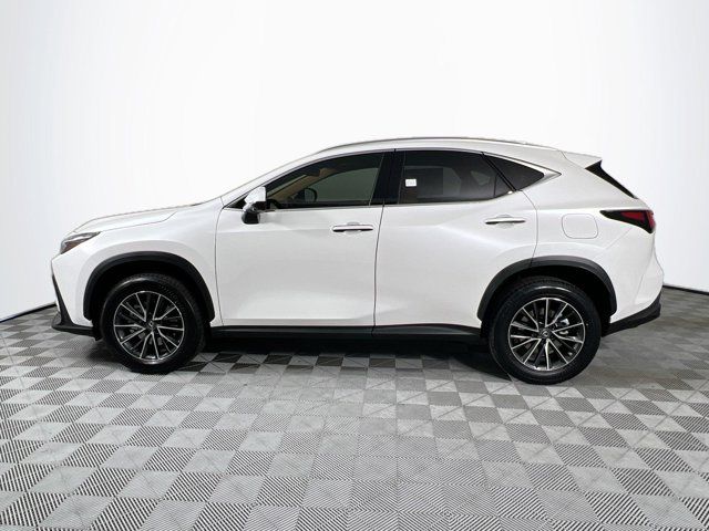 2025 Lexus NX 350