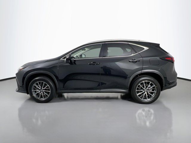 2025 Lexus NX 350