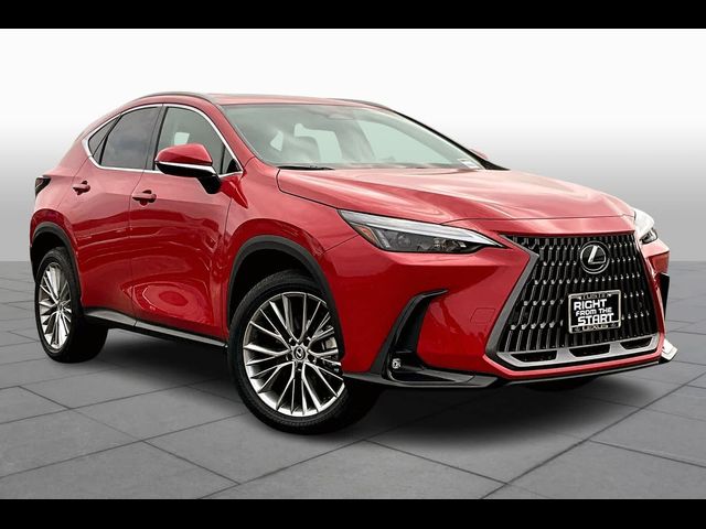 2025 Lexus NX 350h Premium