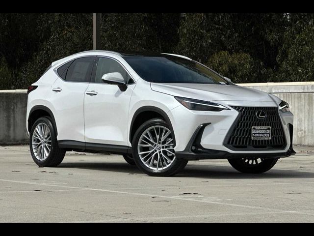 2025 Lexus NX 350 Luxury