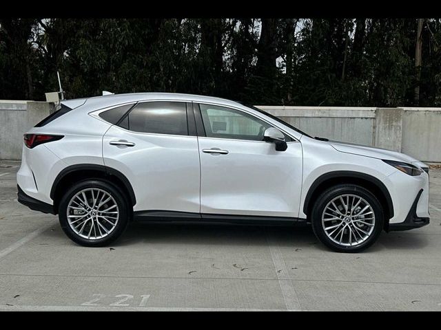 2025 Lexus NX 350 Luxury