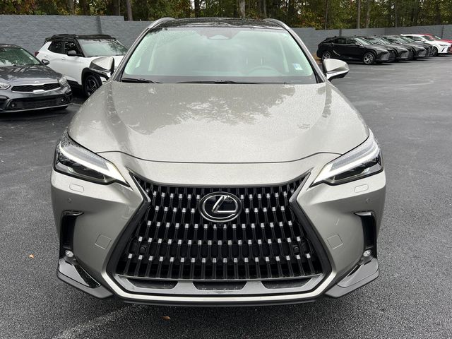 2025 Lexus NX 350 Luxury