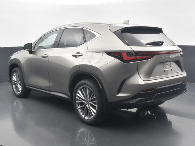 2025 Lexus NX 350 Luxury