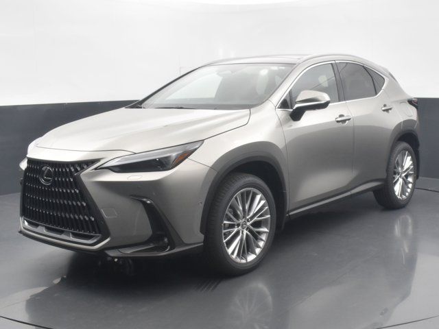 2025 Lexus NX 350 Luxury