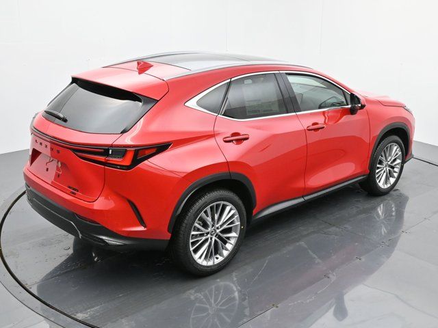 2025 Lexus NX 350 Luxury