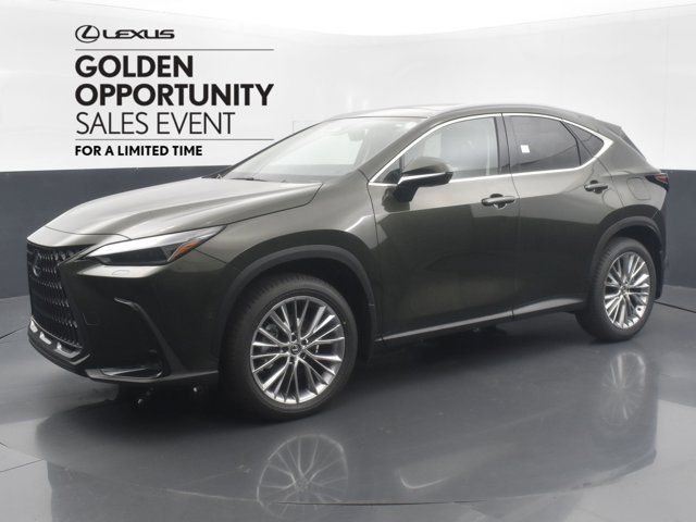 2025 Lexus NX 350 Luxury