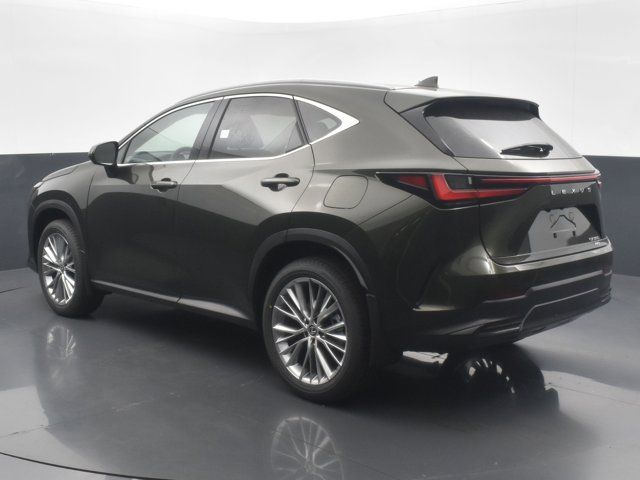 2025 Lexus NX 350 Luxury