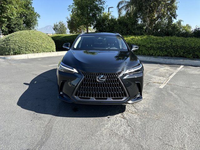 2025 Lexus NX 350 Luxury