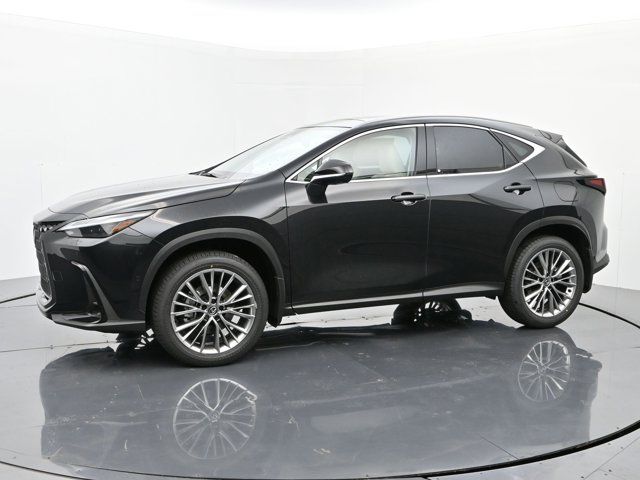 2025 Lexus NX 350 Luxury