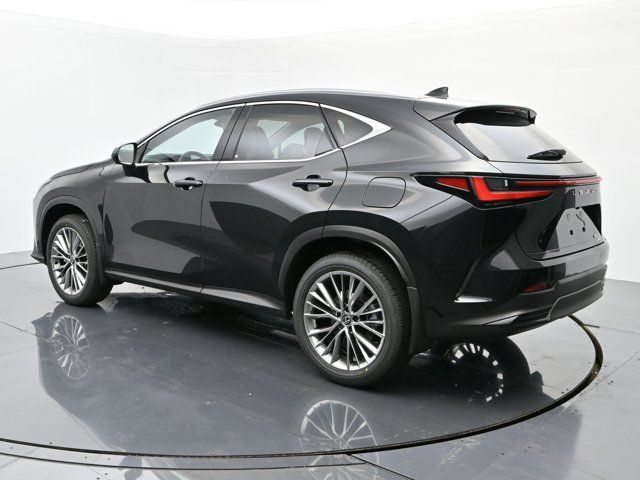 2025 Lexus NX 350 Luxury