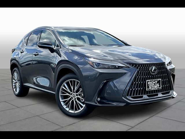 2025 Lexus NX 350 Premium