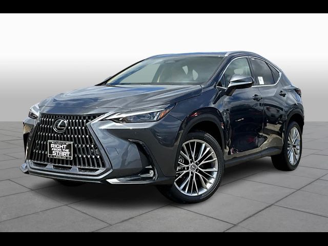 2025 Lexus NX 350 Premium