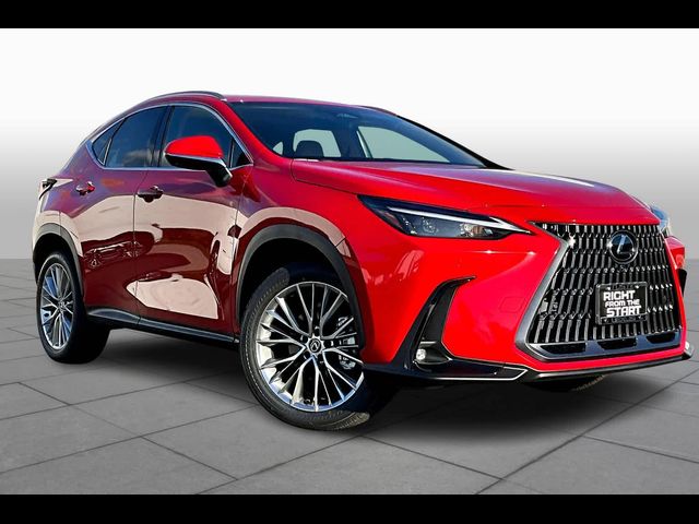 2025 Lexus NX 350 Premium