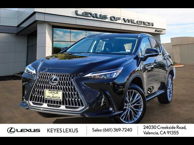 2025 Lexus NX 350 Premium