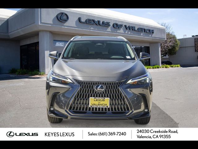 2025 Lexus NX 350 Premium