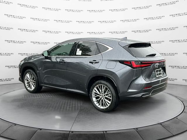 2025 Lexus NX 350 Premium