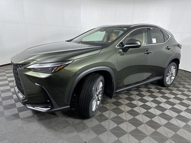 2025 Lexus NX 350 Premium