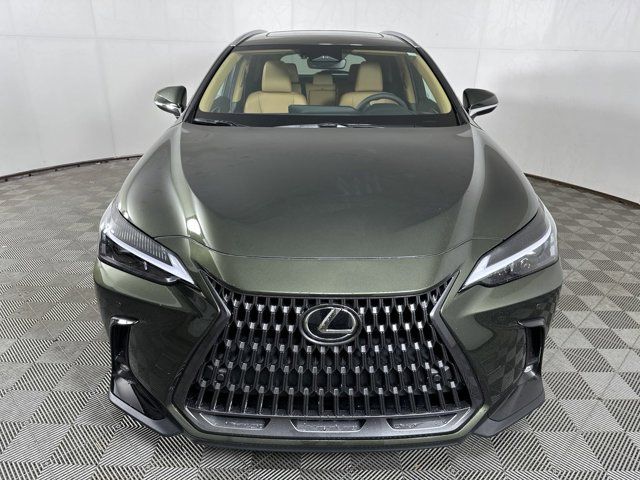 2025 Lexus NX 350 Premium