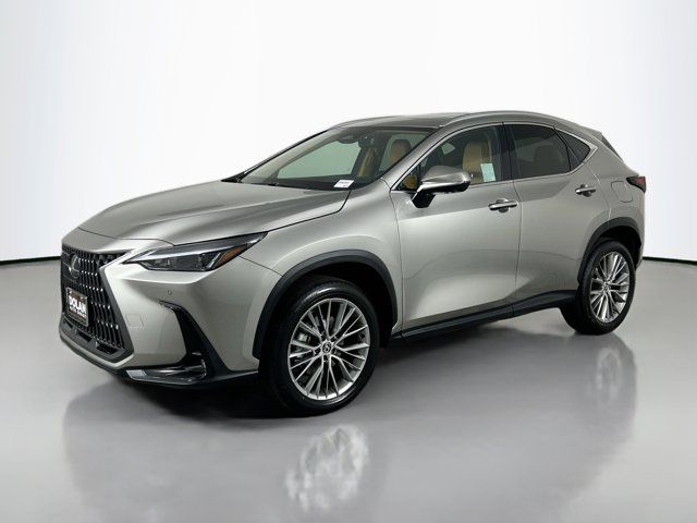 2025 Lexus NX 350 Premium