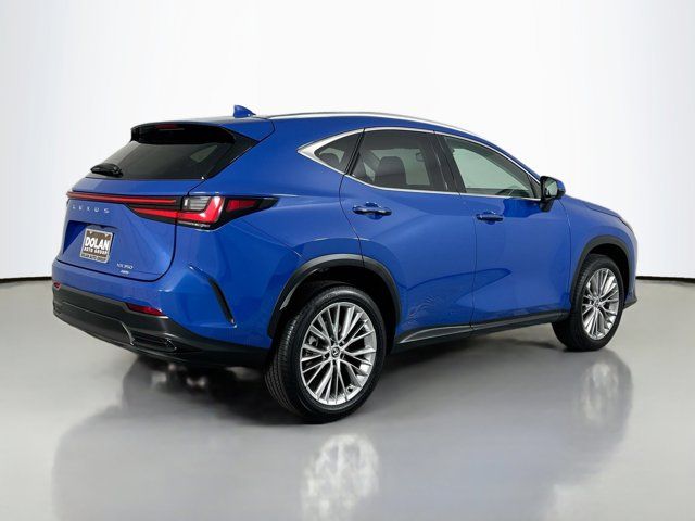 2025 Lexus NX 350 Premium