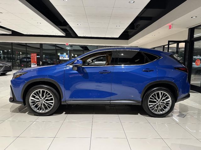 2025 Lexus NX 350 Premium