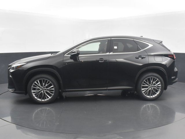 2025 Lexus NX 350 Premium