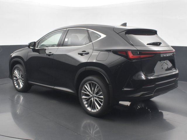 2025 Lexus NX 350 Premium