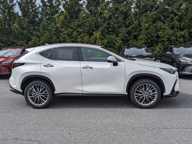 2025 Lexus NX 350 Premium