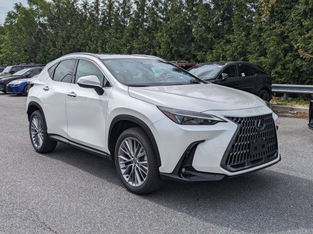 2025 Lexus NX 350 Premium